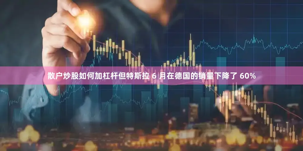 散户炒股如何加杠杆但特斯拉 6 月在德国的销量下降了 60%