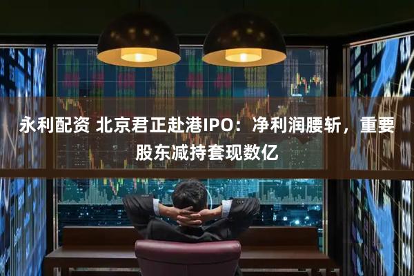 永利配资 北京君正赴港IPO：净利润腰斩，重要股东减持套现数亿