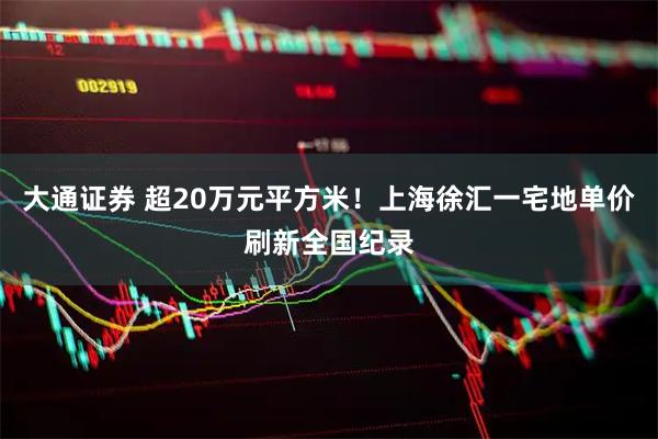 大通证券 超20万元平方米！上海徐汇一宅地单价刷新全国纪录
