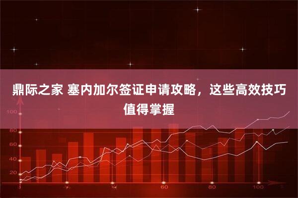 鼎际之家 塞内加尔签证申请攻略，这些高效技巧值得掌握
