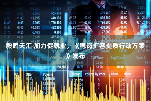 毅鸣天汇 加力促就业，《稳岗扩容提质行动方案》发布