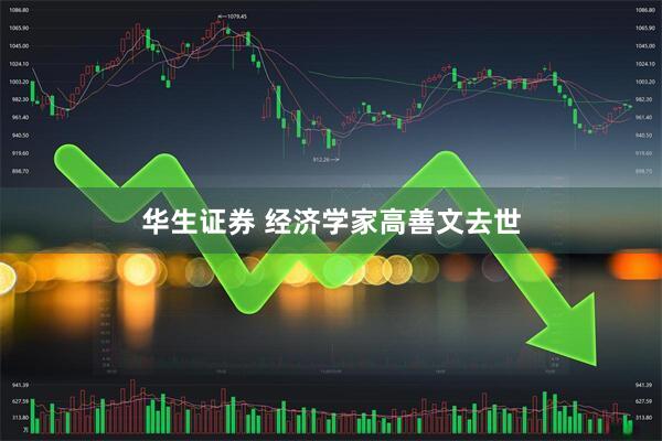 华生证券 经济学家高善文去世