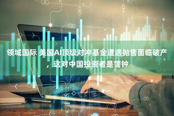 领域国际 美国AI顶级对冲基金遭遇抛售面临破产，这对中国投资者是警钟